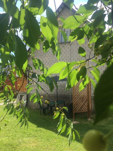 Holiday home Pod Wisnia *